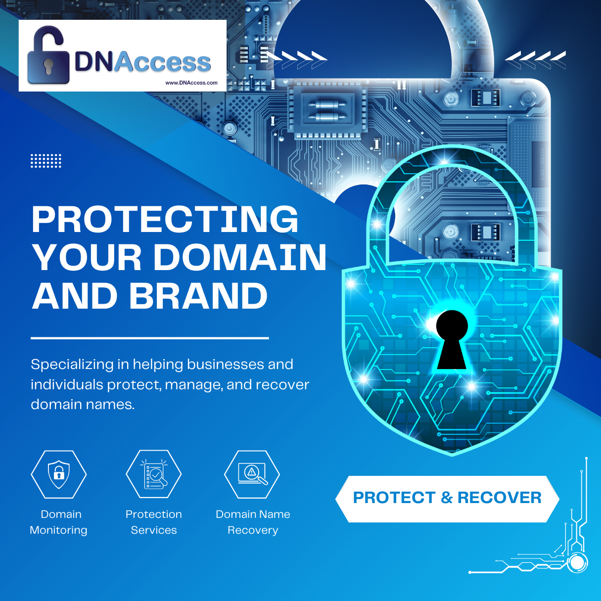 DNAccess Domain and Brand Protection Services